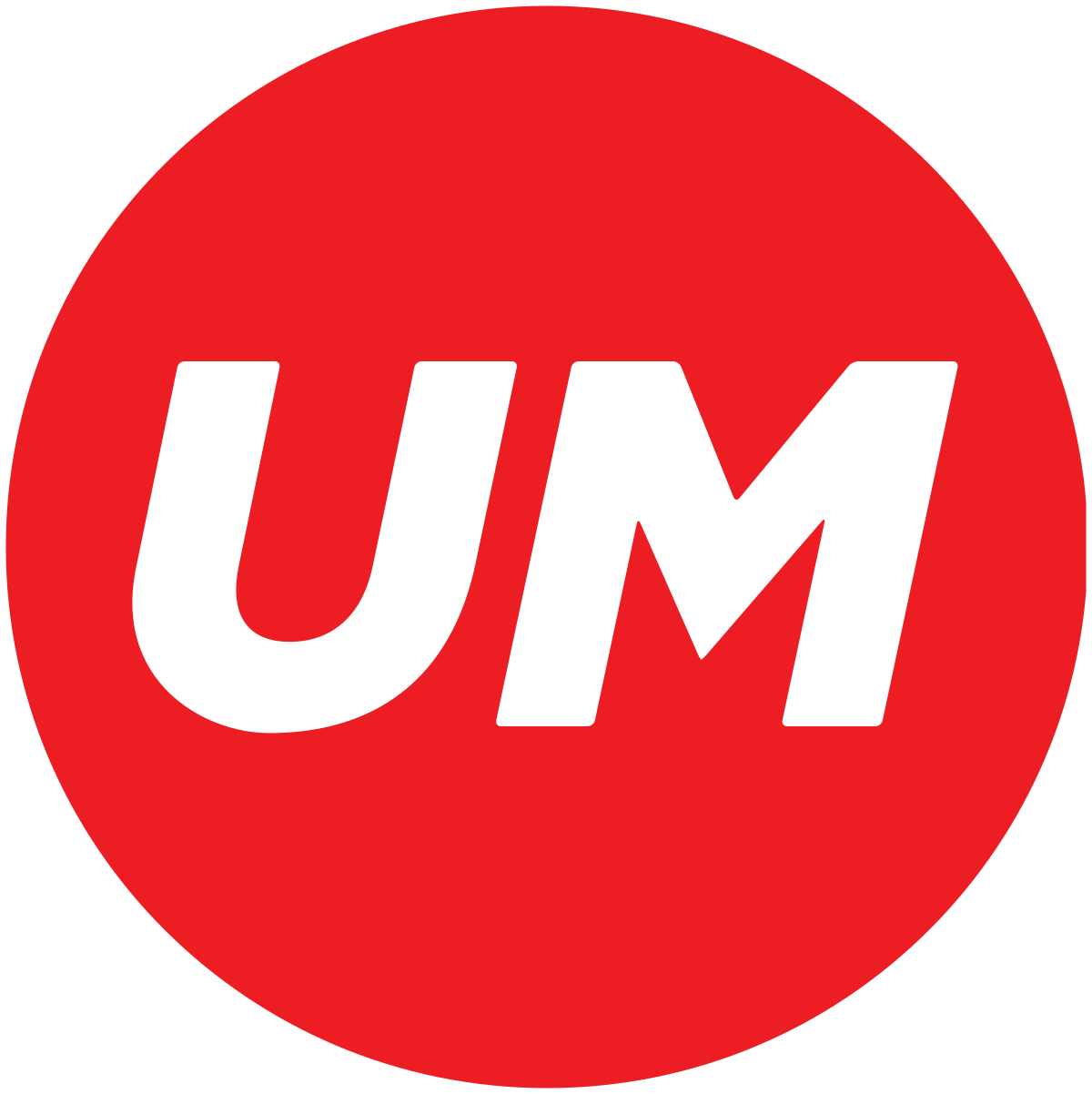 Partner Logo 9